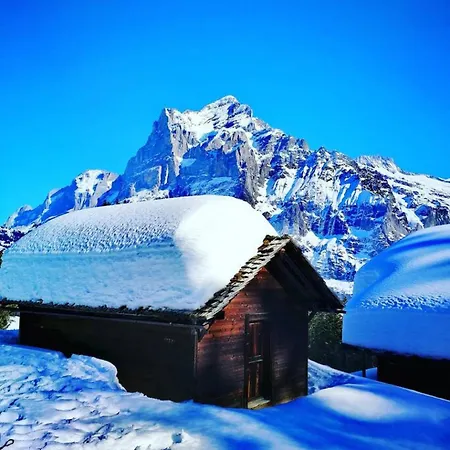 Thun Alps Scenic Views And Concierge By Swisshut Apartman Sigriswil