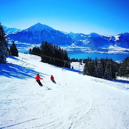 Thun Alps Scenic Views And Concierge By Swisshut