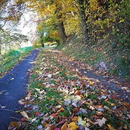 Thun Alps Scenic Views And Concierge By Swisshut Apartament