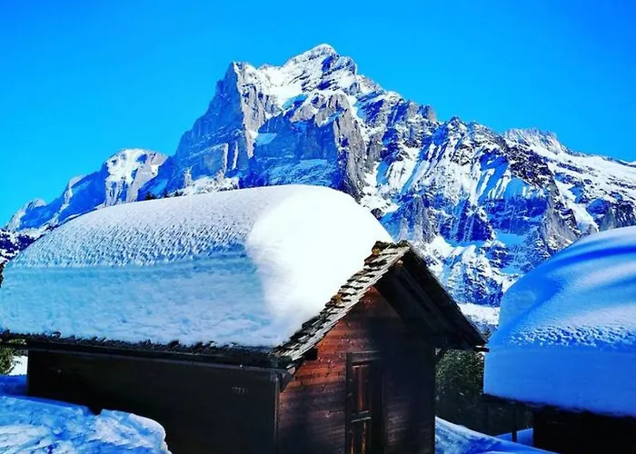 Thun Alps Scenic Views And Concierge By Swisshut Apartamento Sigriswil