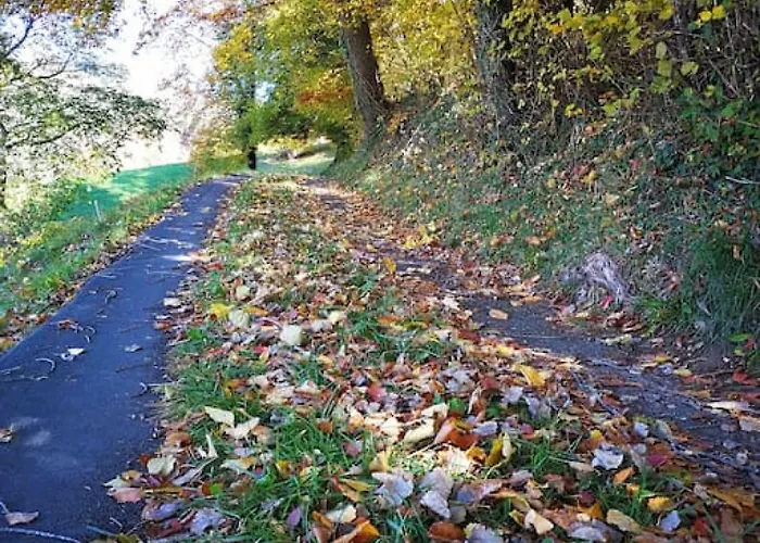 Thun Alps Scenic Views And Concierge By Swisshut Apartamento