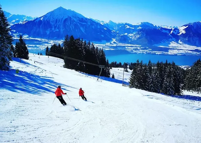 Thun Alps Scenic Views And Concierge By Swisshut