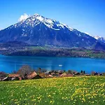 Daire Thun Alps Scenic Views And Concierge By Swisshut