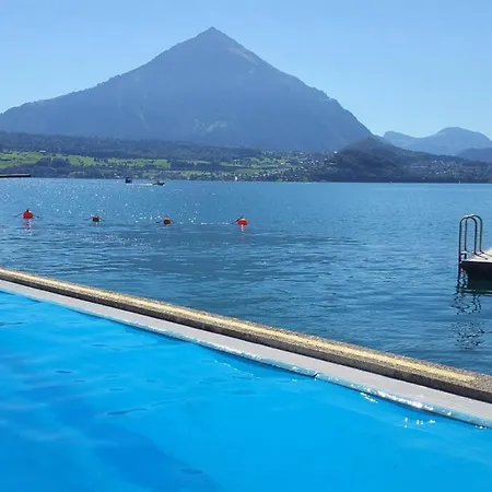 Thun Alps Scenic Views And Concierge By Swisshut Apartman *
