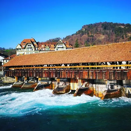 Thun Alps Scenic Views And Concierge By Swisshut Daire *